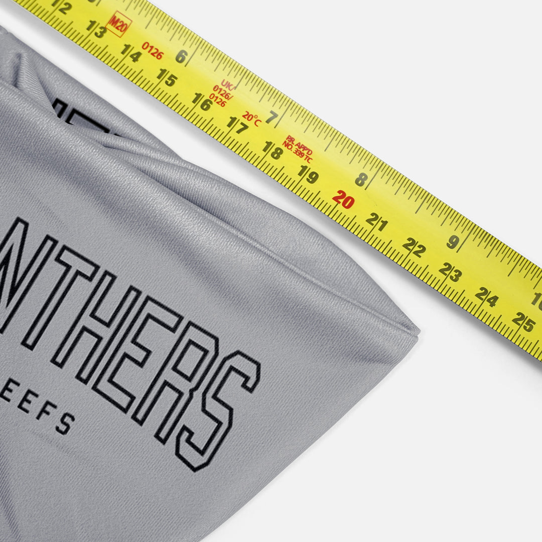 Panthers Headband 2-Pack