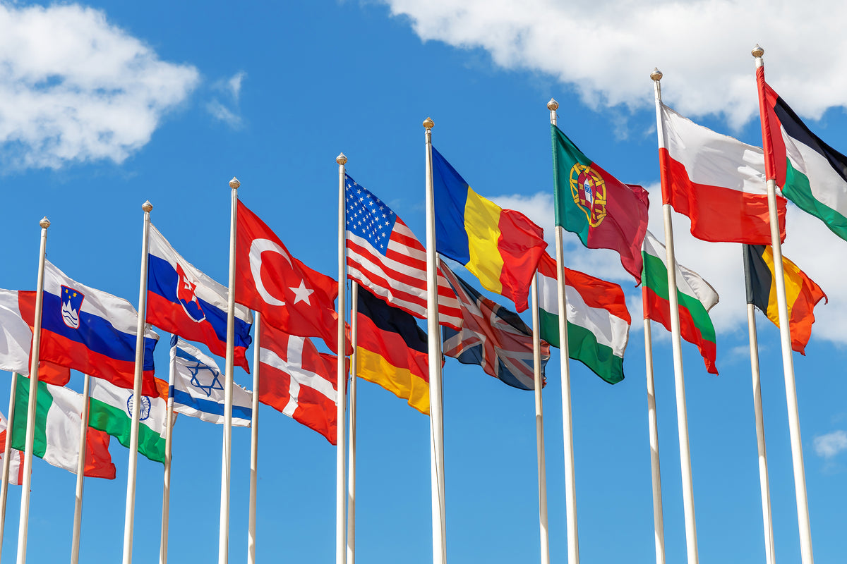 What is the Role of Flags in Sports?