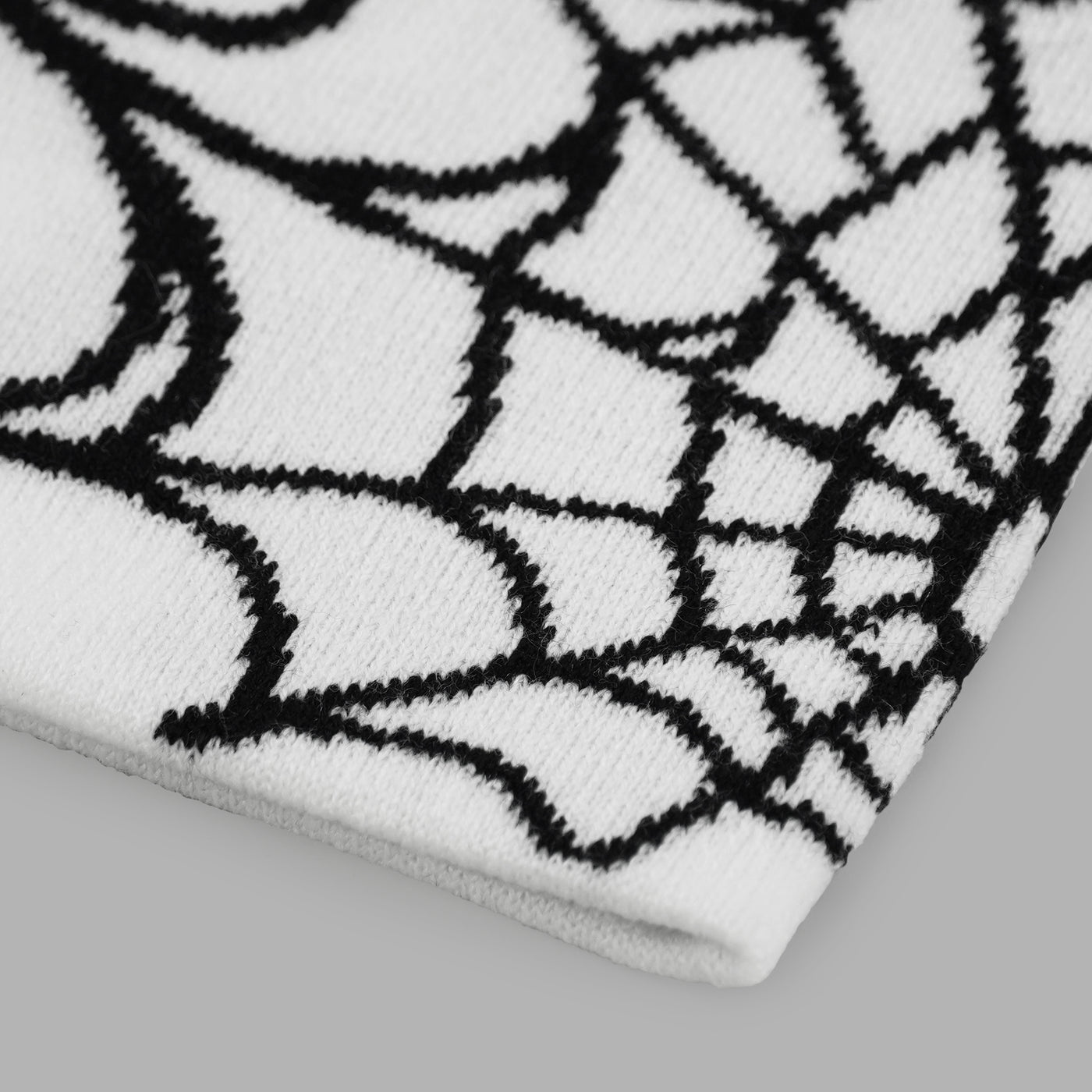 Arachno White Beanie