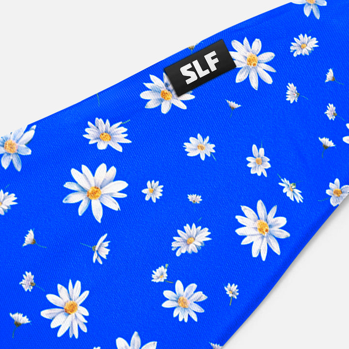 Daisies on Blue Headband