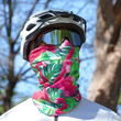 Flamingos Neck Gaiter