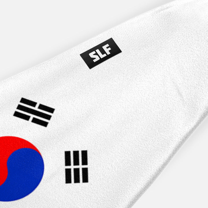 Korea Republic Flag Headband