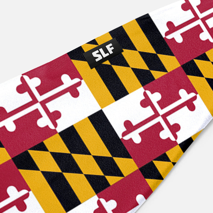 Maryland State Headband