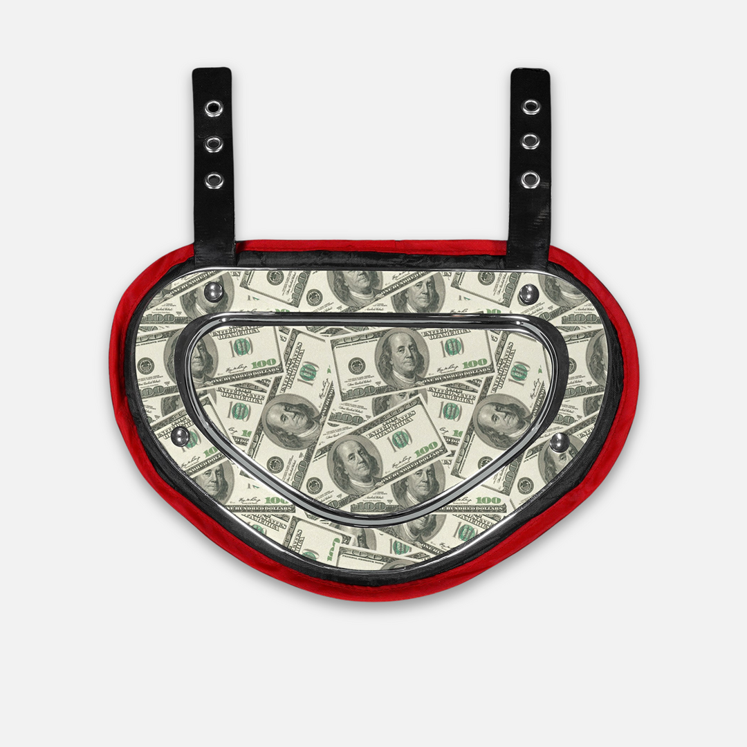 Money Benjamins Sticker for Backplate