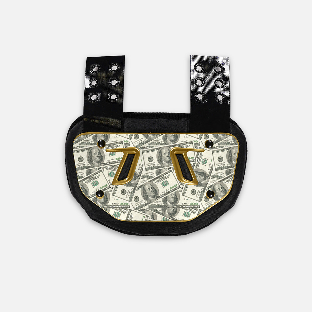 Money Benjamins Sticker for Backplate