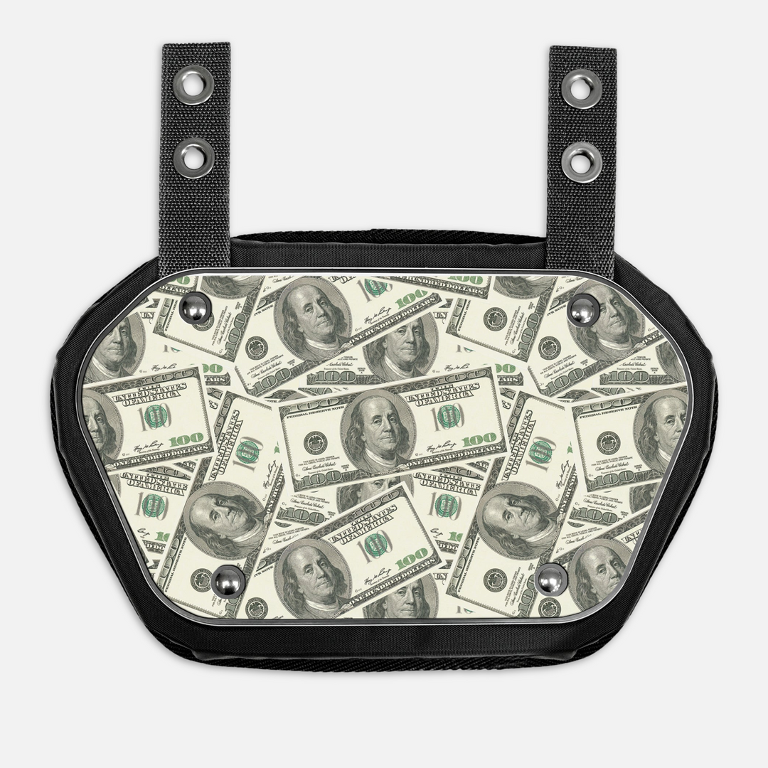 Money Benjamins Sticker for Backplate