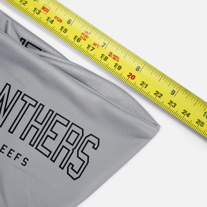 Panthers Headband 2-Pack
