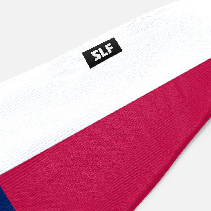 Texas State Headband