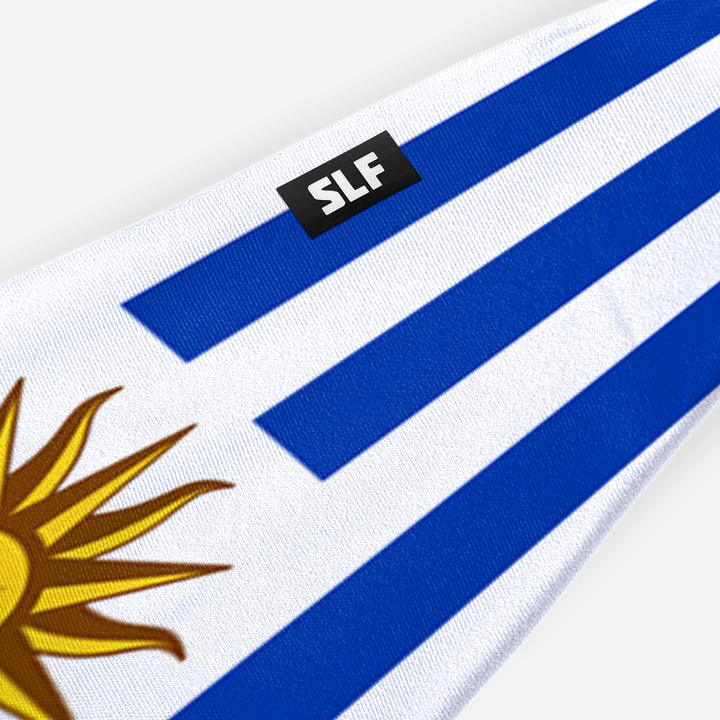 Uruguay Flag Kids Headband