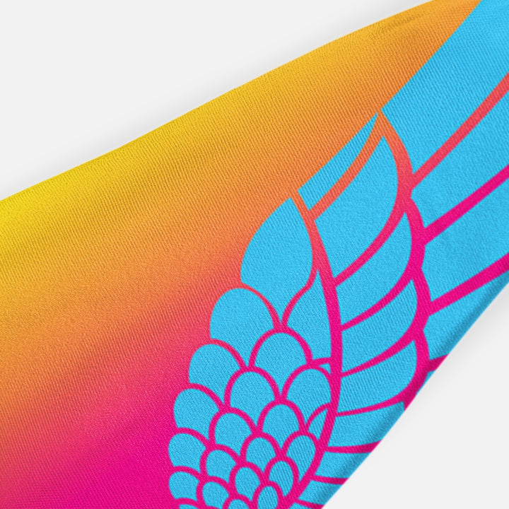 Neon Wings Sunset Headband