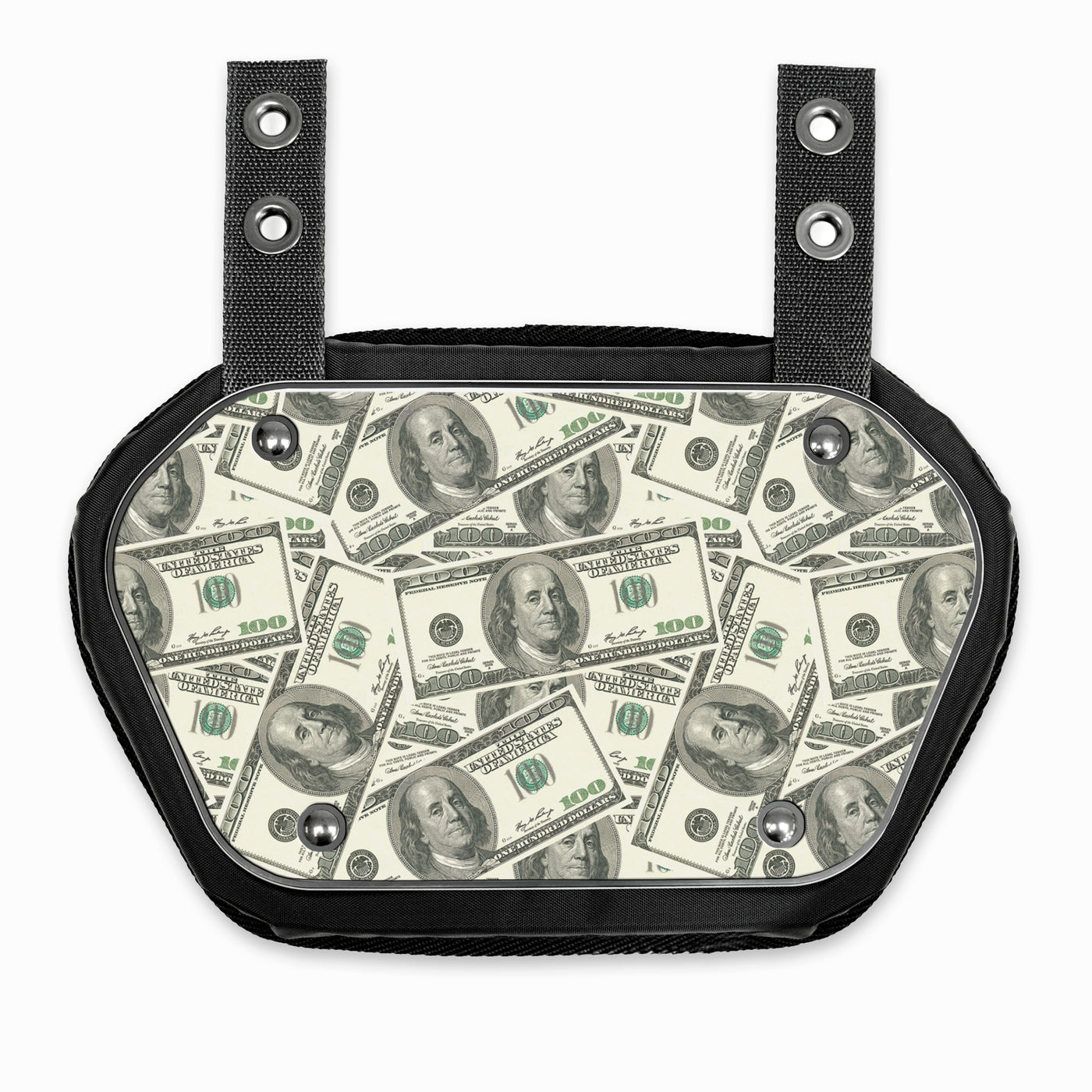 Money Benjamins Sticker for Back Plate