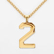 2 Number Pendant with Chain Necklace - Gold Plated Stainless Steel