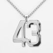 43 Number Pendant with Chain Necklace - Stainless Steel