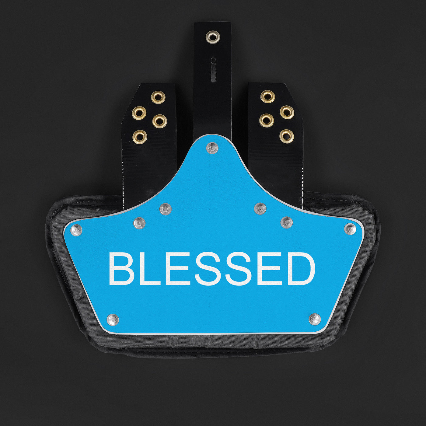 Blessed Blue Sticker for Back Plate