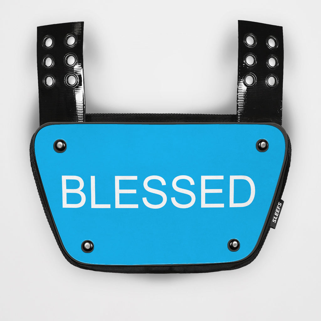 Limited Edition Sticker for Back Plate – SLEEFS