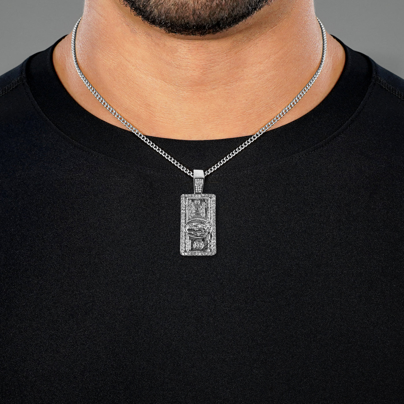 Iced Money Benjamin 1½" Pendant with Chain Necklace - Stainless Steel