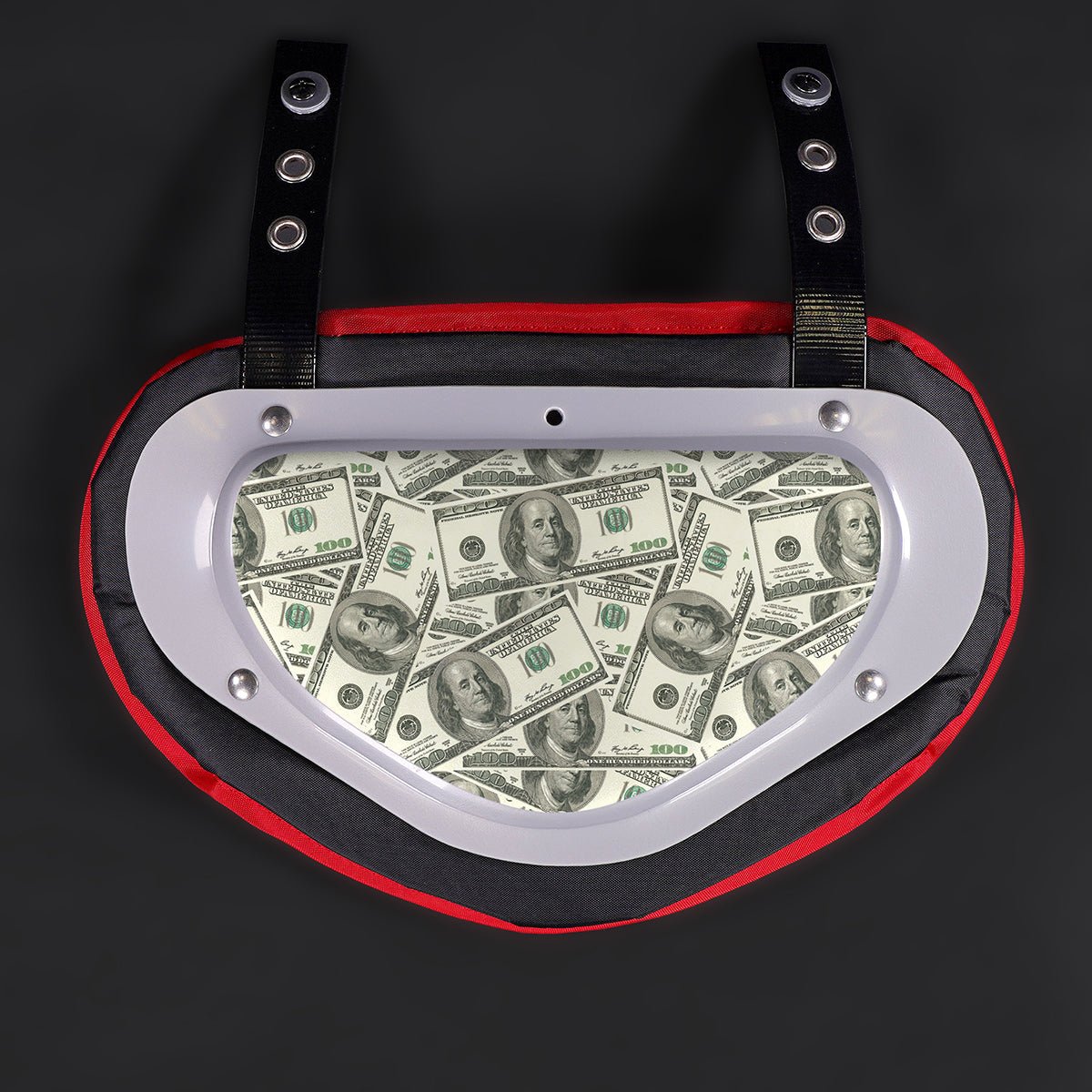 Money Benjamins Sticker for Back Plate